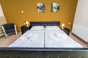 Pokój dwuosobowy Deluxe  z łóżkiem podwójnym