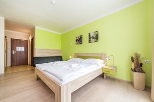 Double room Standard with double bed